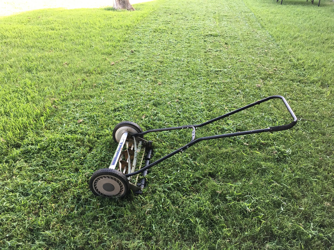 lawn, lawnmower, green-1812944.jpg