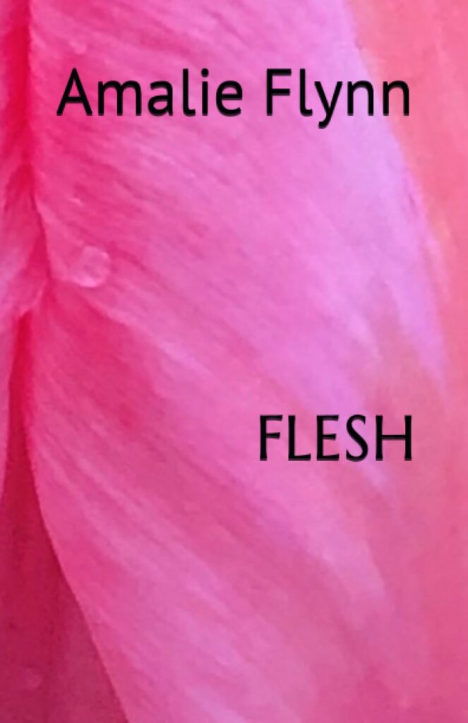 A small but mighty collection about the most personal of experiences. This image is the predominantly pink cover of Amalie Flynn's poetry collection, Flesh
